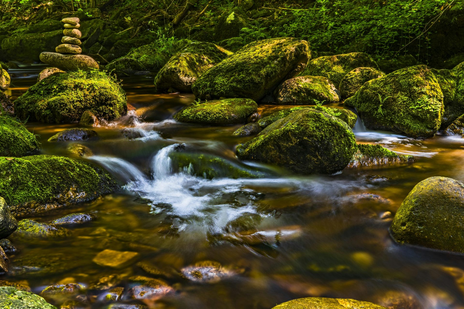 Un paisible ruisseau forestier, aux rochers couverts de mousse et aux pierres en équilibre, symbolise l'harmonie dans la nature.